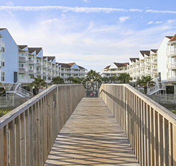 Thing To Do Newly Listed 